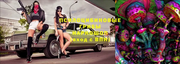 мяу мяу мука Баксан
