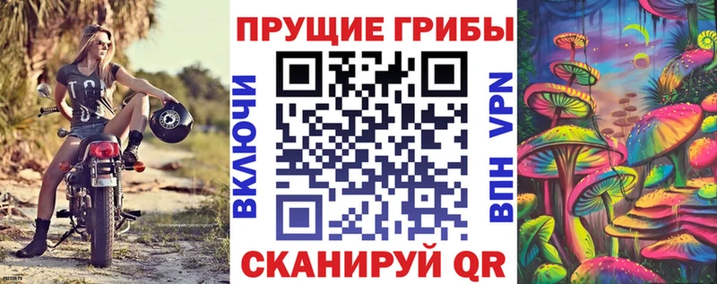 даркнет официальный сайт  omg рабочий сайт  Крымск  Галлюциногенные грибы Cubensis 